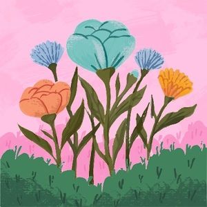 Meet your Posher, Alexis campbell